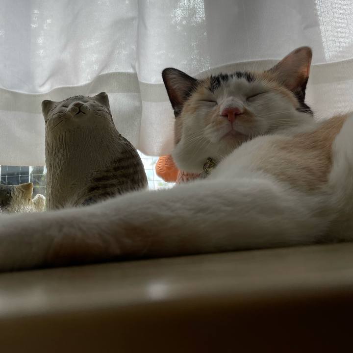 B04dcdfc 4e91 4efc a632 aa84286bb3a7 1692593710012