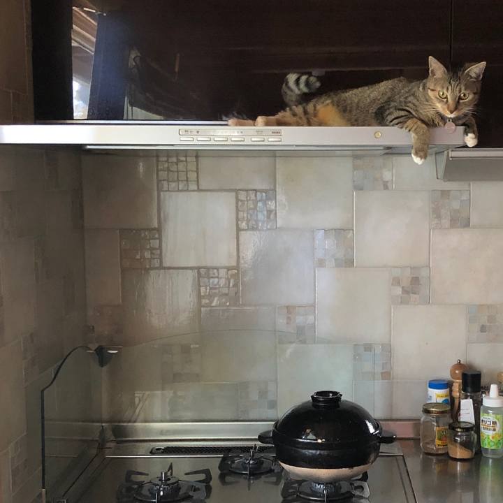 B04e19f8 d25b 4c9c a94b e1248ccb376e 1570241696588