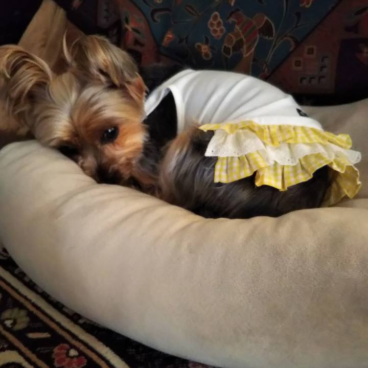 B04e68d6 1447 4177 bb0e 28ad22981663 1650584327850