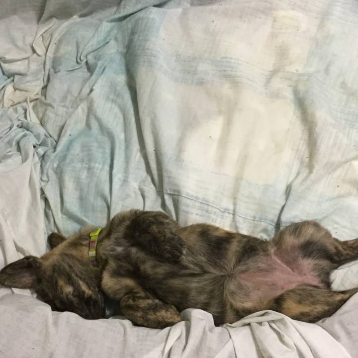 B04ea34a b97d 4b31 bee8 0b62c3f0200e 1545307785736