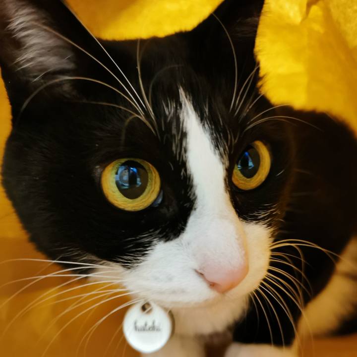 B04f00ef ace8 472d abee 7a58623fdb9a 1666527104531