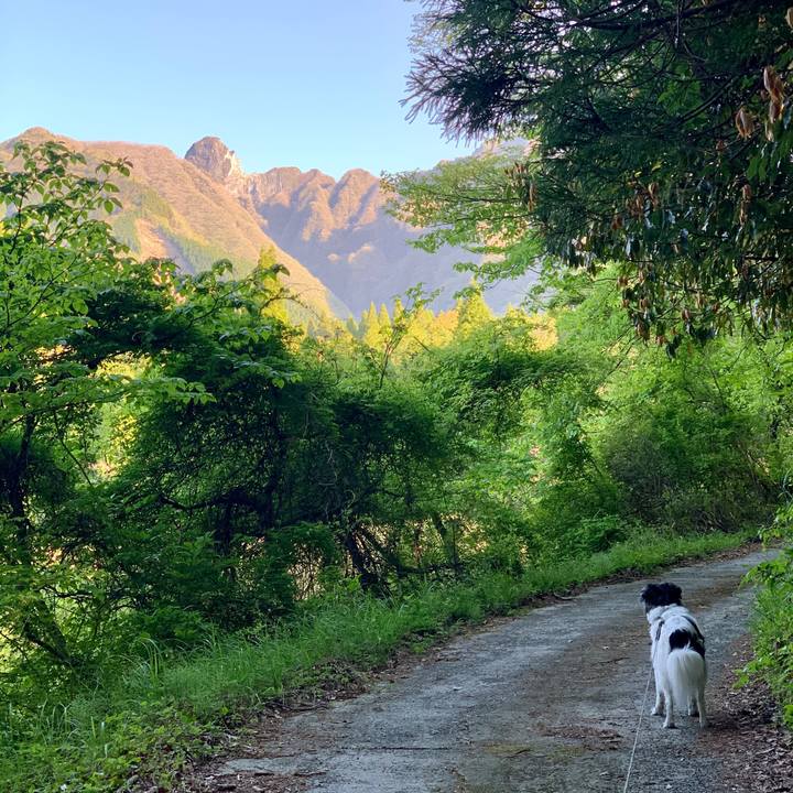 B04f03cd b676 431e a2de 93758c8293cf 1619308523493