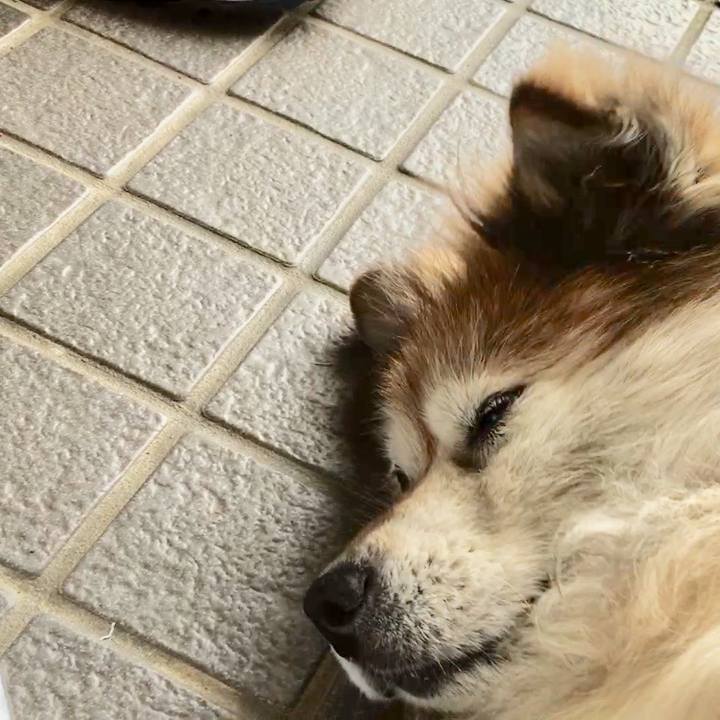 B04f1195 3e8b 4e63 962d f1cae5be71f5 1594889124504