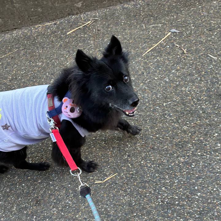 B04f5dd6 f120 4ea7 be39 f85891fc22f2 1758671600073