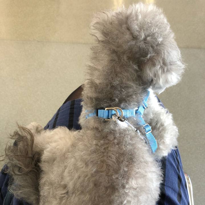 B04f6da8 35d9 486c 8764 a0a0d28c5a48 1572244719889