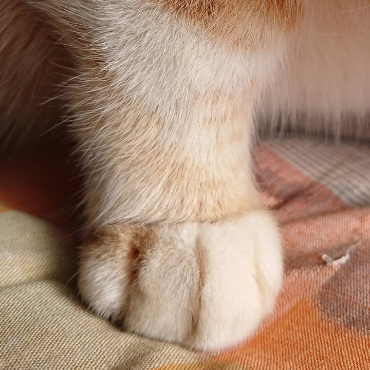 B04f6e1c 6453 42da 97c5 8a86036c3956 1580609454592