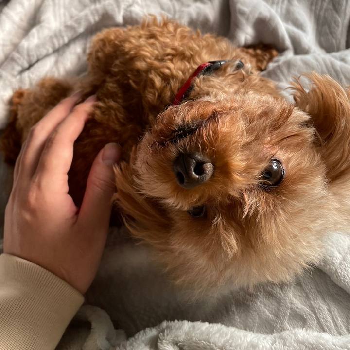 B04f930e bede 45f6 9995 b3385d15713a 1678597100571