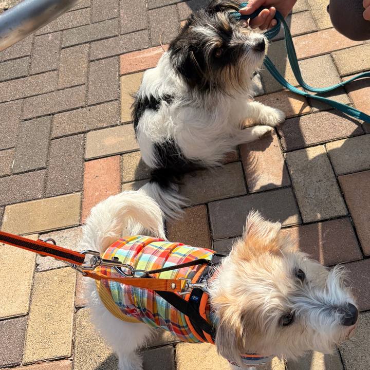 B04fa730 8208 400a 887b 77554c6b0931 1772269165151