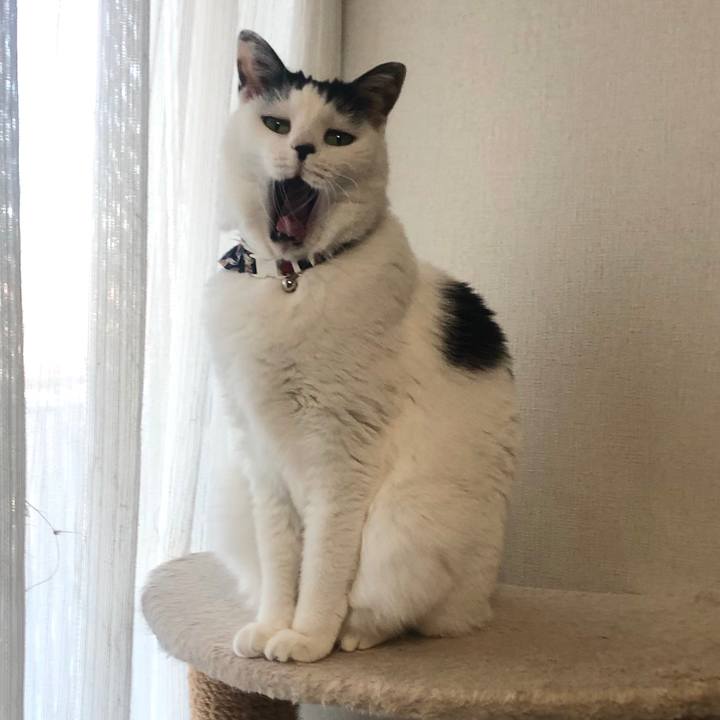 B04fc1db 0a8c 4583 a752 da2de07a7a56 1578526326911