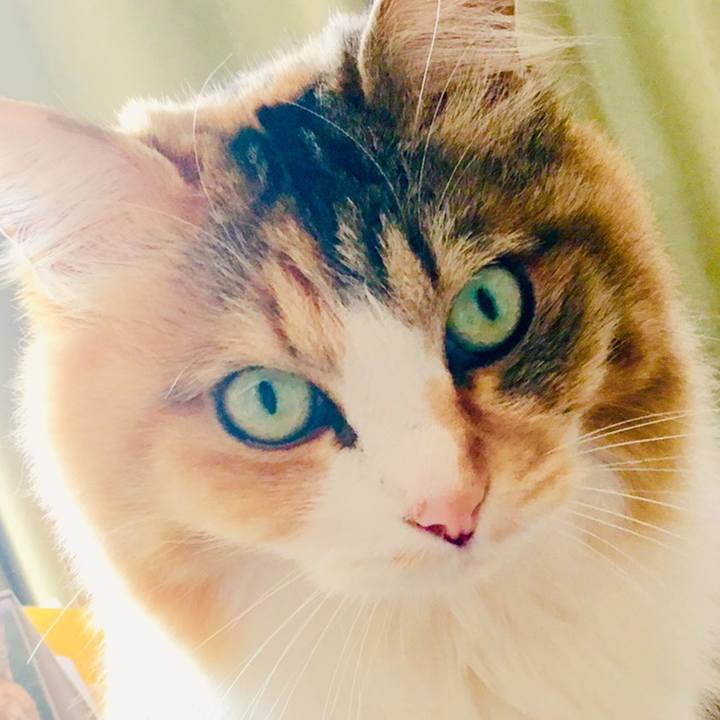 B04fd7d4 7673 44f4 b44b 7a1140ffd590 1558476024755