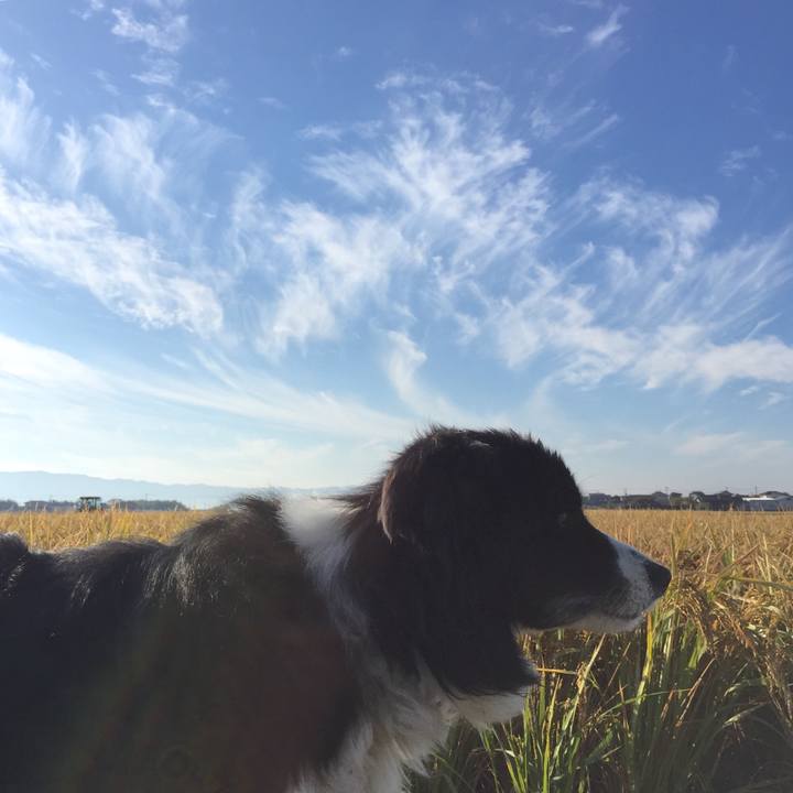 B04feae4 2188 43d7 93ca 9b75278db742 1572480085320