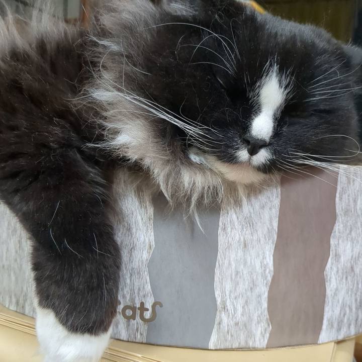 B04fee73 0f5f 4841 9821 9af4ad53b37d 1772888725530