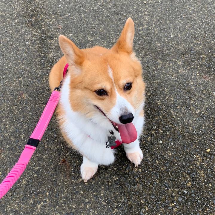 B0502990 34e1 470e 82f4 c21ceef80046 1595978310546