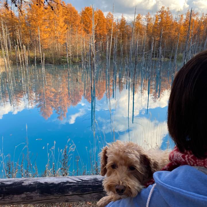 B0503419 2c2b 4abc a6b1 b03c68699845 1636179347876