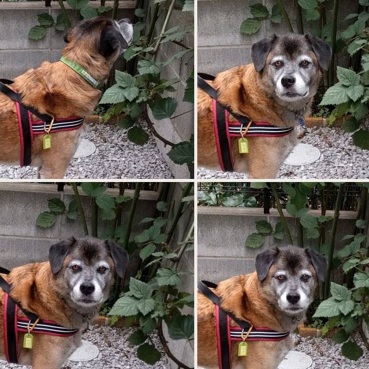 B050404c ad70 47ff 9c53 adc31bb489c0 1538623294136