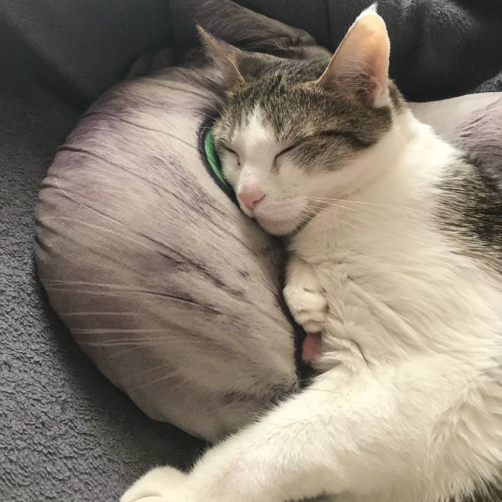 B0506f06 dd02 4fe4 bdcf 367670de0ff4 1755310069006