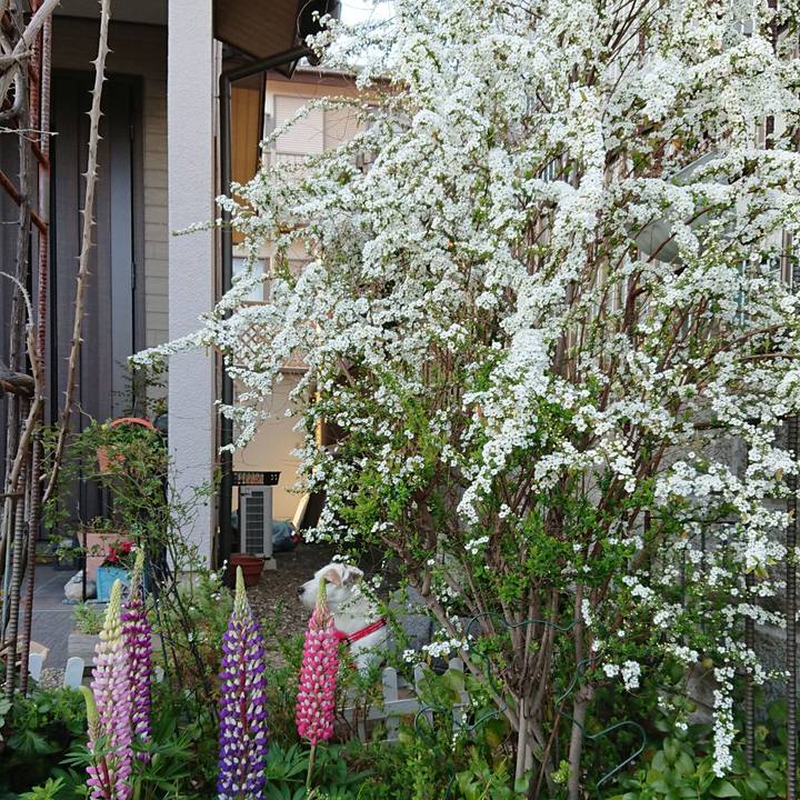 B0507a4b 6571 4f91 b75e 8112e830646c 1520898136958