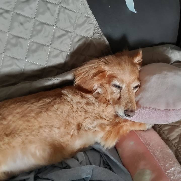 B0507ba5 b993 4d01 b54e 7821790786fb 1660372802807