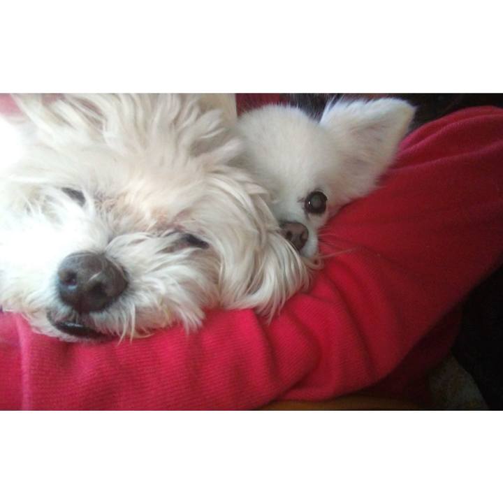 B050a2bd cca1 44ae 87b9 f1954b05bffc 1651606699878