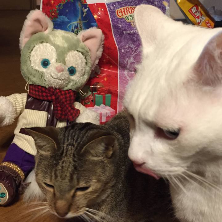 B050a43e 87e1 4f6b bb4f 5bd6e26f50b5 1511626367000