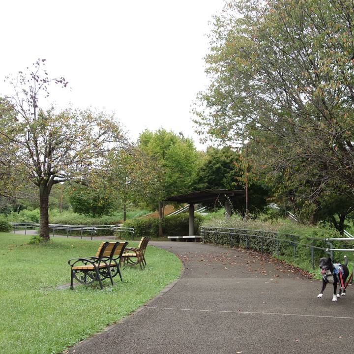 B050a47b fa2e 498b 91fa 65f869a6e740 1727655056611