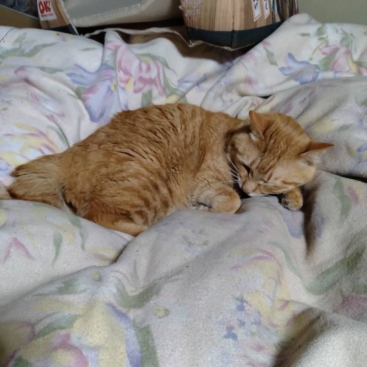 B05114f6 d8f6 49c5 bfe2 cf3fe08fe0c0 1679492487841