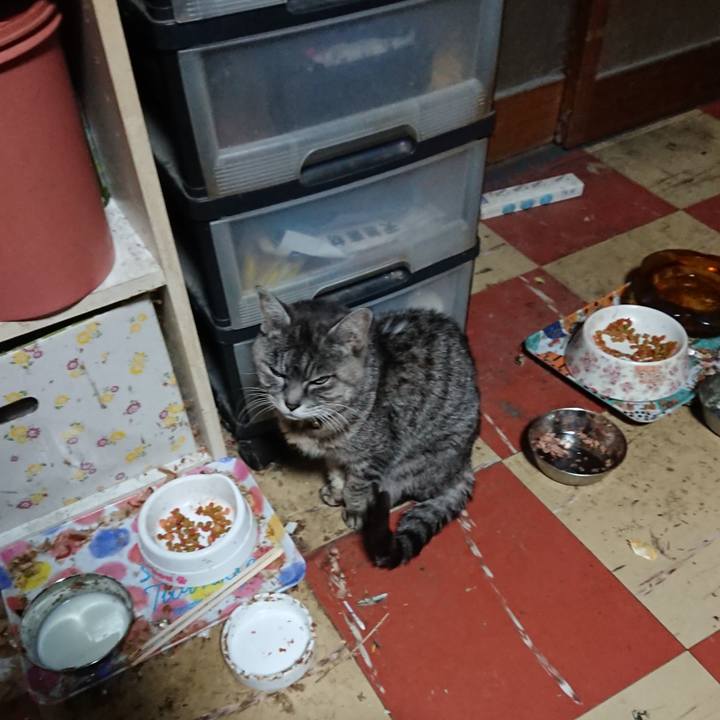 B0512e38 72f5 4110 b573 bf7464d8de75 1581365937226