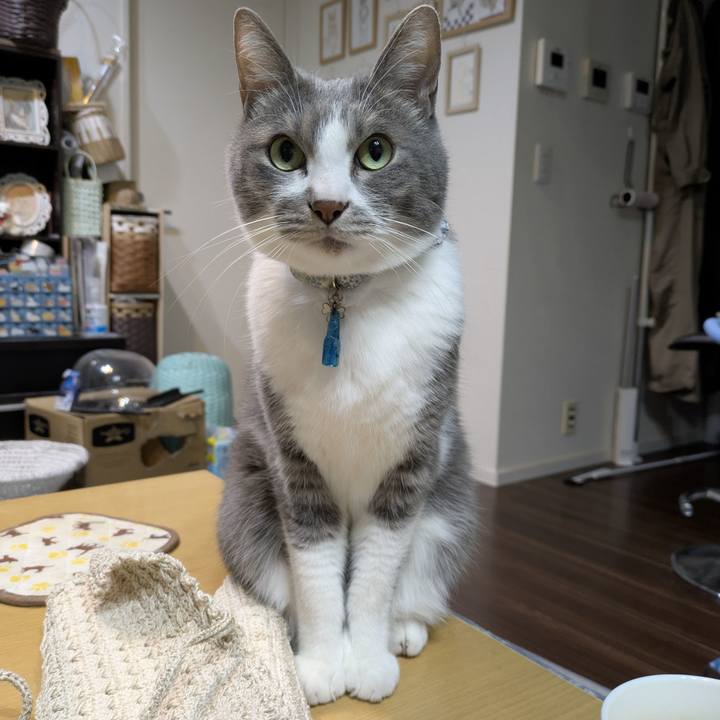 B051301b f621 4219 9336 a12e6d39a995 1765097372442