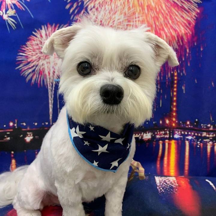 B05147aa 9a36 43ce 9eb8 b8e82fb3efc7 1625315151571