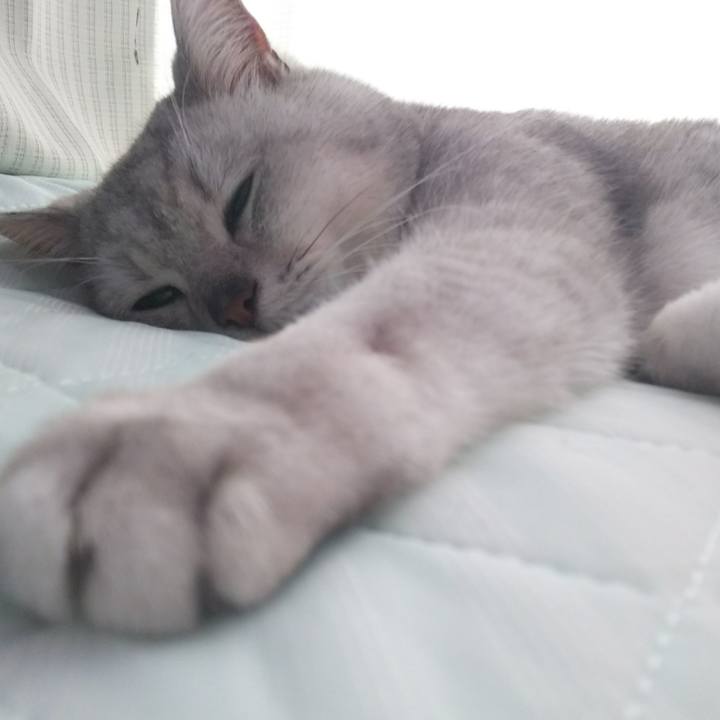 B0515621 0f2b 4148 8060 fd5e3c858aac 1524790778281