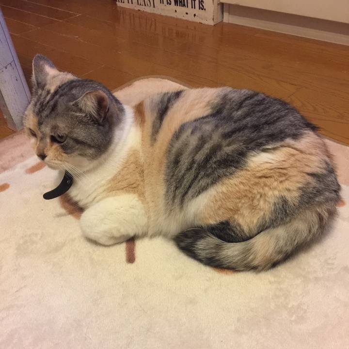 B051910e 1406 48c7 937b 196a8394489b 1552058353699