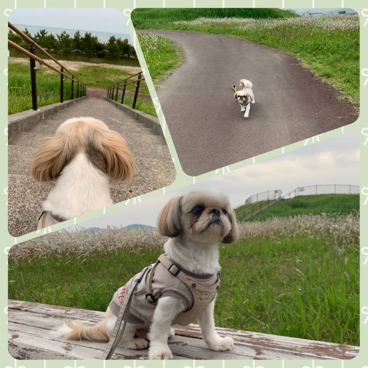 B0520b22 d777 42d2 9ff1 a315960d284c 1650757962308