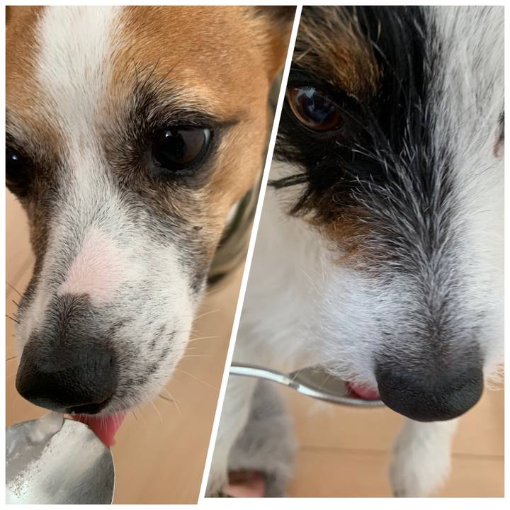 B0526877 5412 4e44 b46b 9681e35e346e 1555974290580