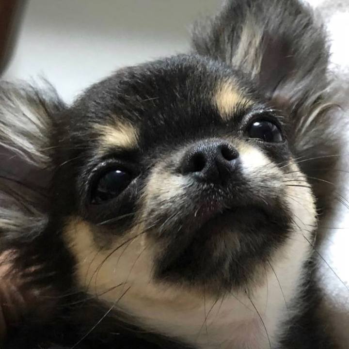 B052ae78 2a19 47dc 98fe d9486456e4d3 1659480559668