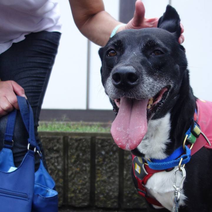 B052f425 24e1 4170 9319 ad293c904a7d 1692057743134