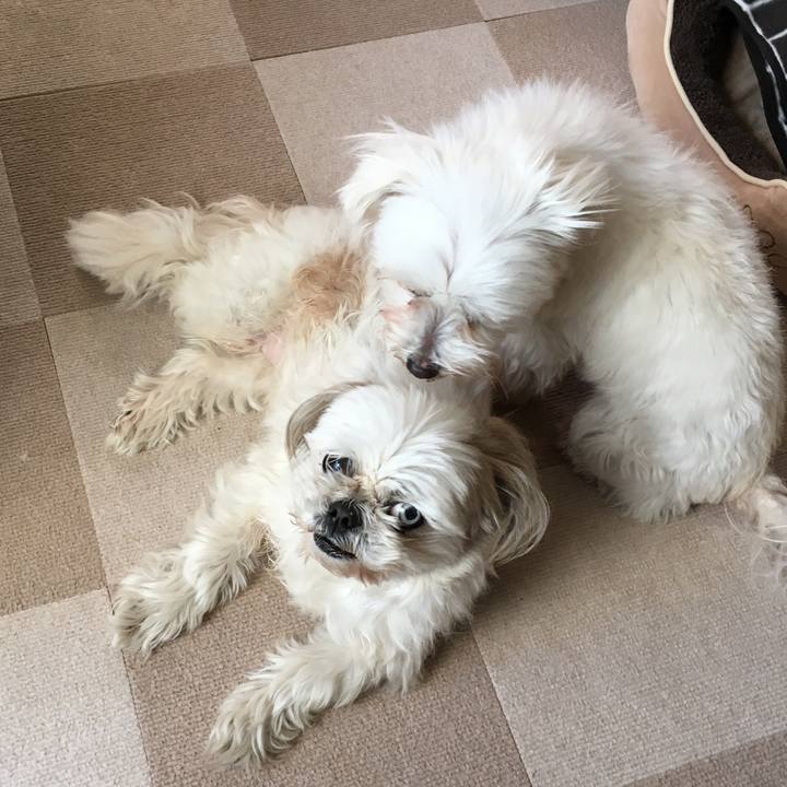 B053437b 1279 4a51 a1e2 cab9c22c194b 1611185401699