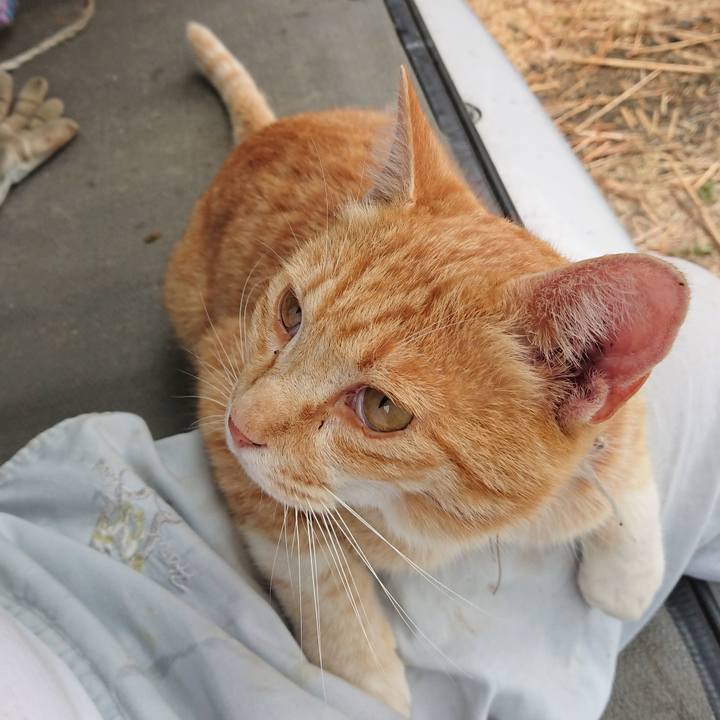 B05360d2 0c2f 404b 89cf 2e7e74e95235 1592109937543