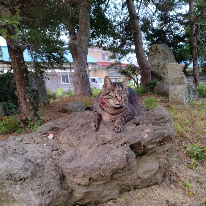 B0537ffe c66f 4549 881a 86f70aab3cad 1690235856559