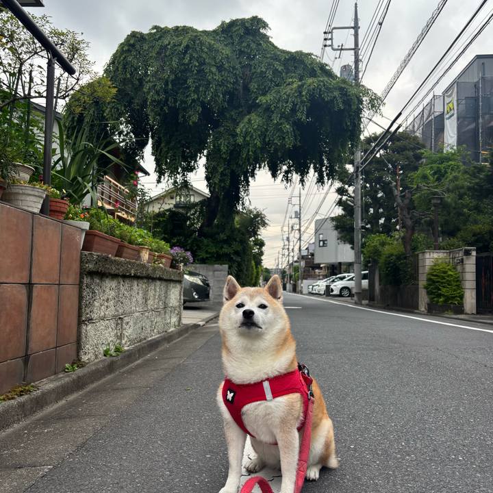 B05389c2 3e56 4e00 bc2c f32ac23e6ef9 1750019284753