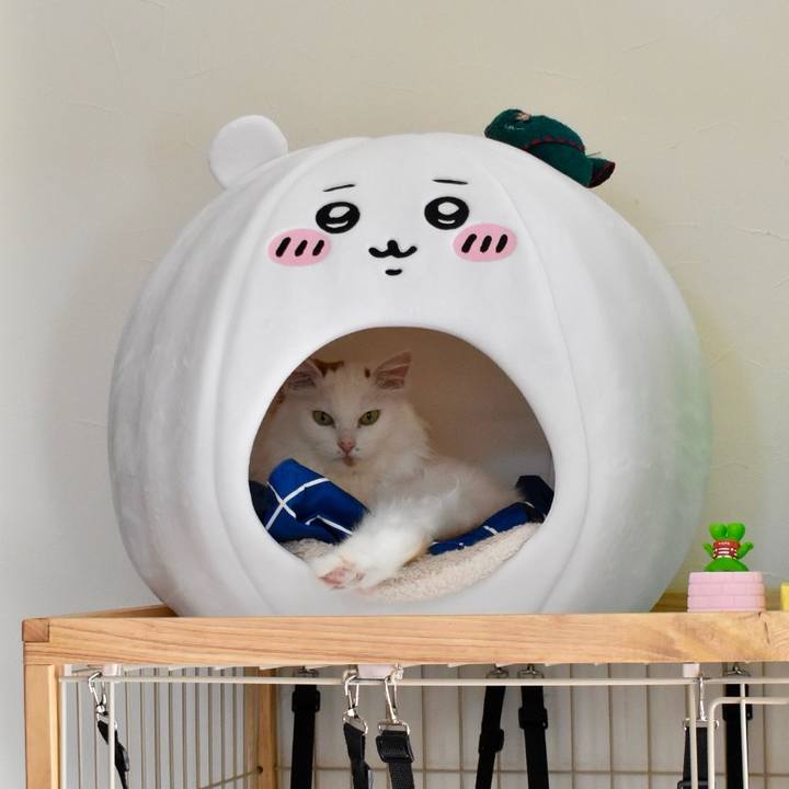 B053a2a7 9142 4493 84a5 752be9b42ba2 1764384009224