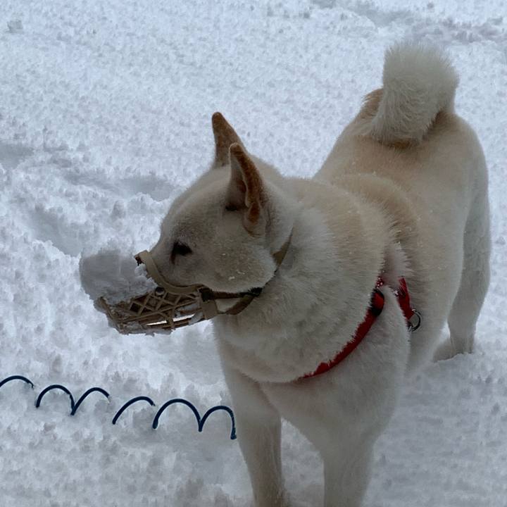 B053a2b5 62cd 4d38 a897 d139a82690f7 1604960424248