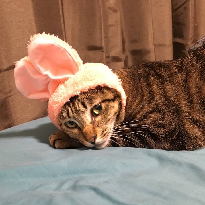 B053ba38 d062 4cb7 8246 d4a52ac12af2 1525690702132