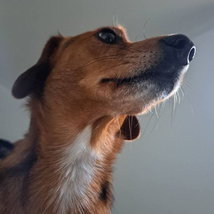 B053c5a8 7957 44e9 b11f 750151b70fe7 1763986736068