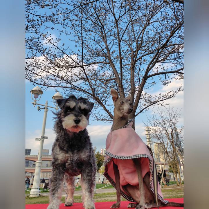 B053cee1 f0e2 44fd 94de 23bf1fe7f037 1775125159647