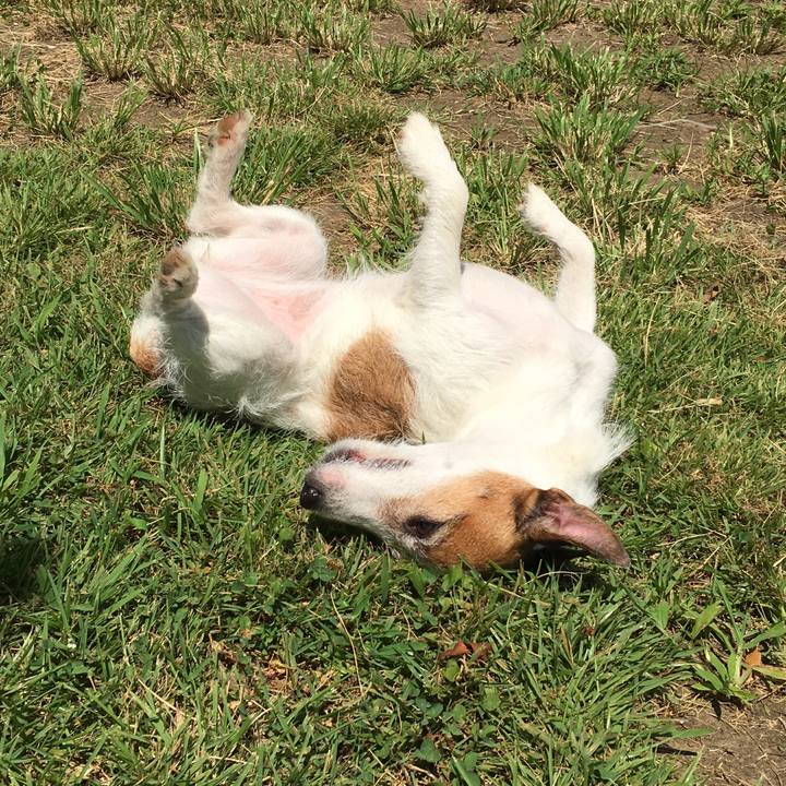 B0540530 00cb 4c83 a72b e65dd461458d 1565062292402