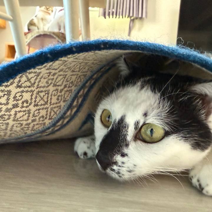 B054084b 77c4 44bc a3cd 66cf9b83bd65 1768455066856