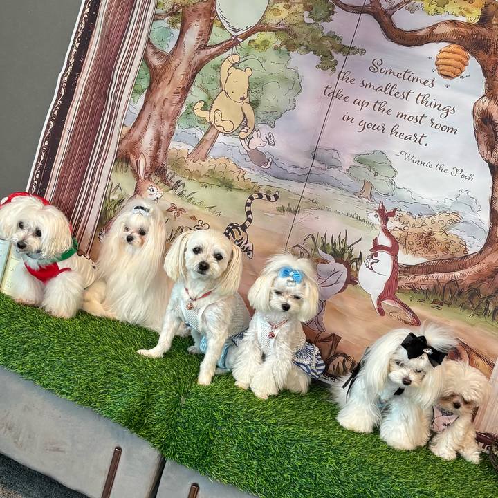 B0541f5c cd5f 4331 9e22 d4e312bca292 1752396476016