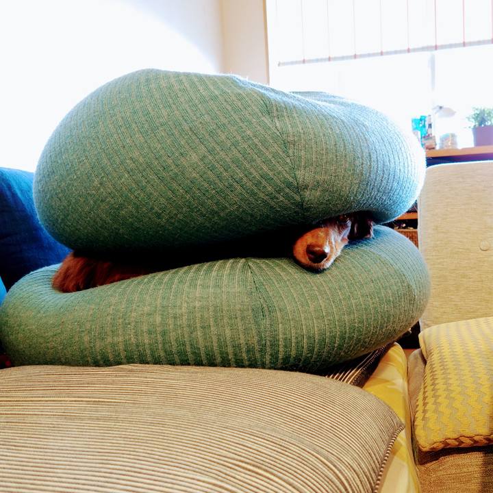 B0548f65 cbe6 47fa 910d 9c16ced74526 1606528859206