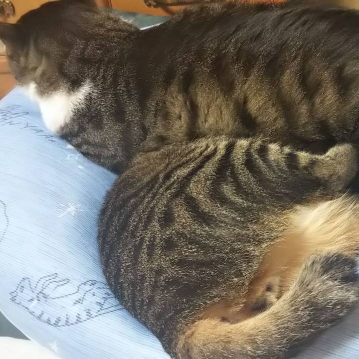 B05499d4 0030 40f4 a285 bc2dcb346bae 1605245732503