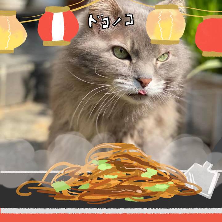 B054a003 fa90 44d3 8c31 7ecfcafdae18 1755232370535